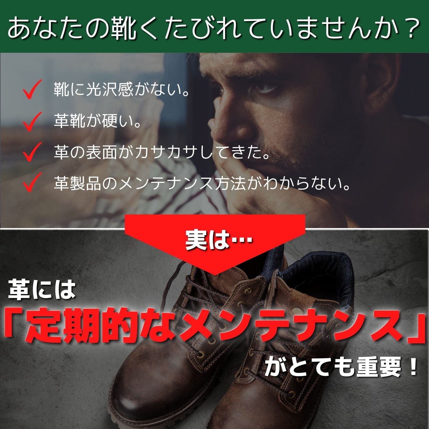 コロニル  馬毛ブラシ
